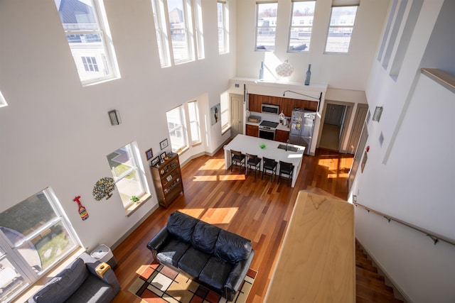 living room featuring plenty of natural light, wood finished floors, and a high ceiling