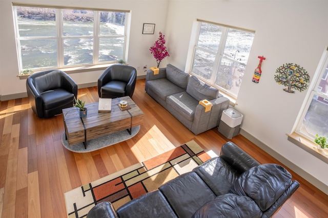 living room with wood finished floors and baseboards