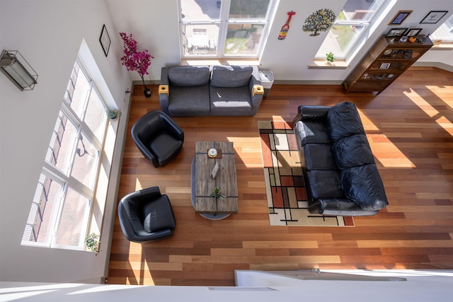 living area with a skylight, wood finished floors, and a wealth of natural light
