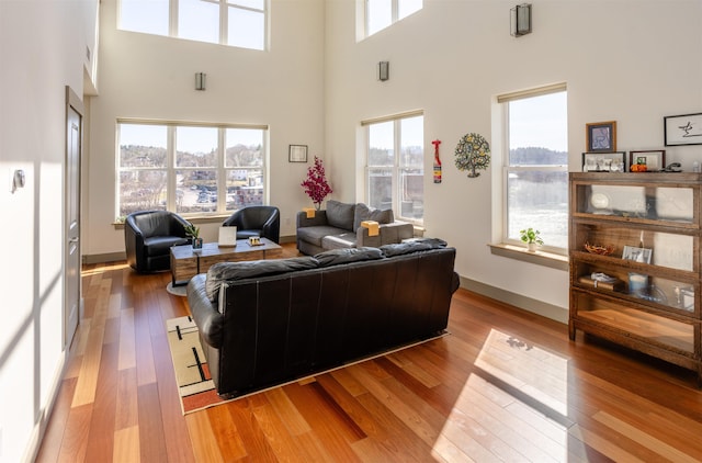 living room with plenty of natural light, a high ceiling, and light wood finished floors