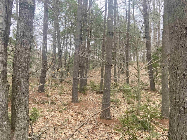 1 Berrie Ln, Townshend, VT 05353