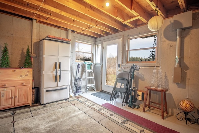 basement featuring built in fridge