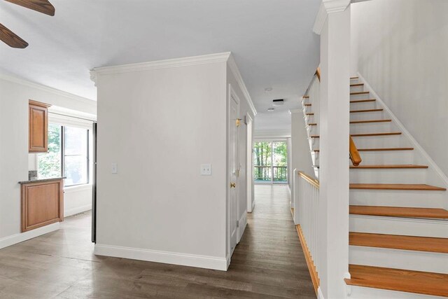 1 Dunvegan Woods Dr, Hampton, NH 03842 - hall featuring baseboards, ornamental molding, wood finished floors, and stairs