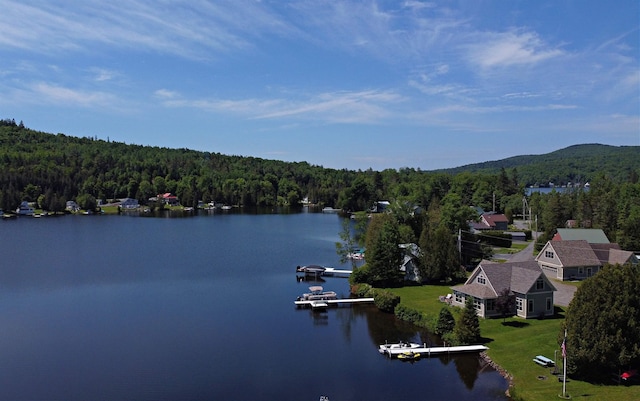 property view of water with a wooded view