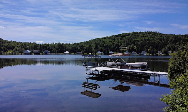 view of dock with a forest view and a water view