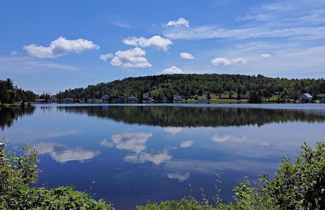 property view of water featuring a wooded view