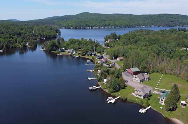aerial view featuring a view of trees and a water view
