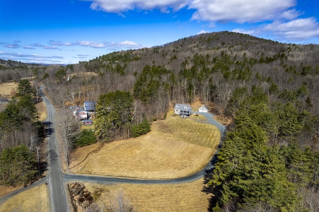 bird's eye view featuring a mountain view and a view of trees