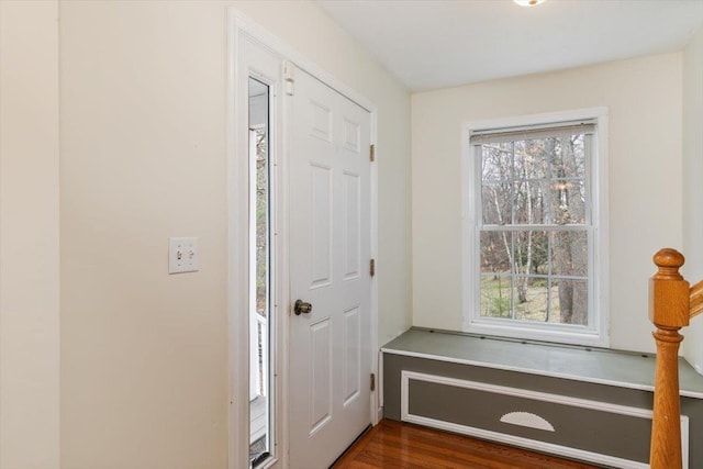 interior space with plenty of natural light and dark wood-style flooring