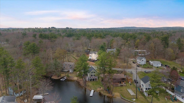 bird's eye view with a view of trees and a water view