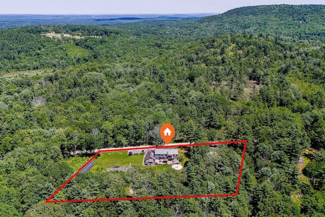 71 Mountain Rd, Deerfield, NH 03037 - view of property location with a forest and property boundaries highlighted