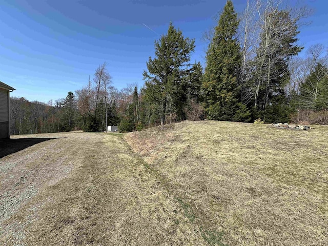 view of yard with a wooded view