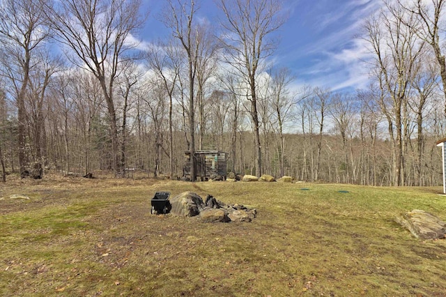view of yard featuring a view of trees