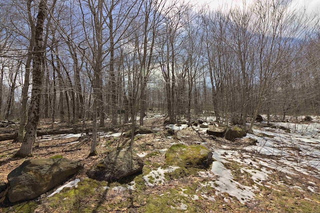 view of landscape