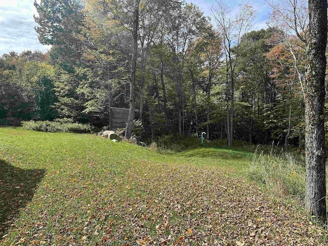 view of yard with a forest view