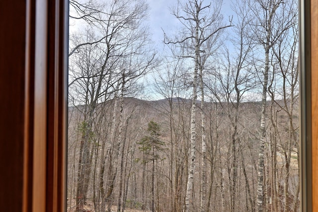 78 Coopers Trce, Plymouth, VT 05056 - view of mountain feature featuring a wooded view