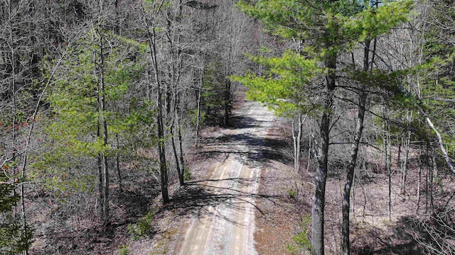 view of street with a wooded view