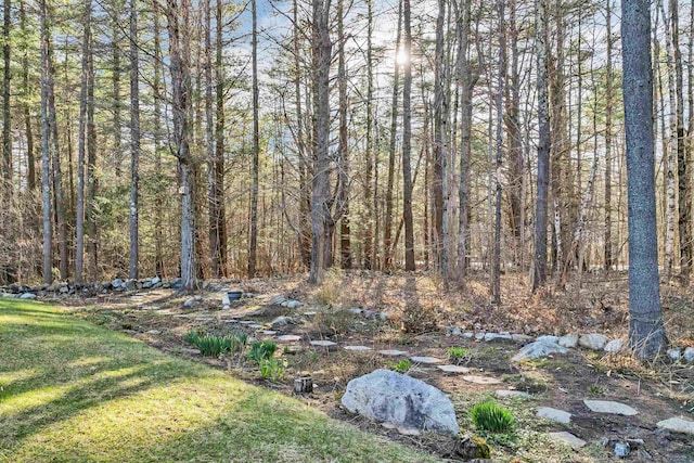 view of yard featuring a forest view
