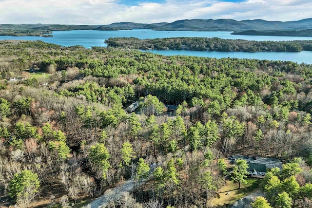 bird's eye view featuring a water and mountain view and a wooded view