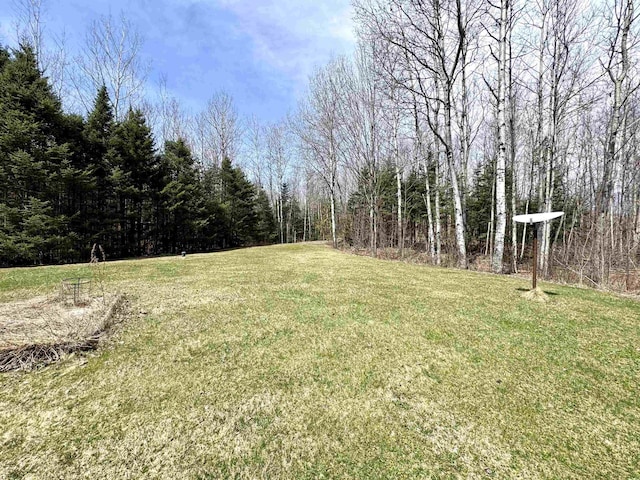 207 Blakely Farm Rd, Colebrook, NH 03576 - view of yard featuring a forest view