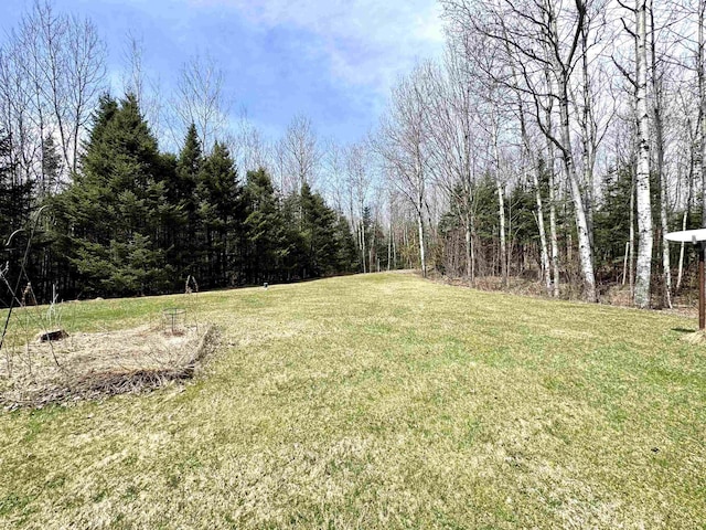 207 Blakely Farm Rd, Colebrook, NH 03576 - view of yard featuring a view of trees