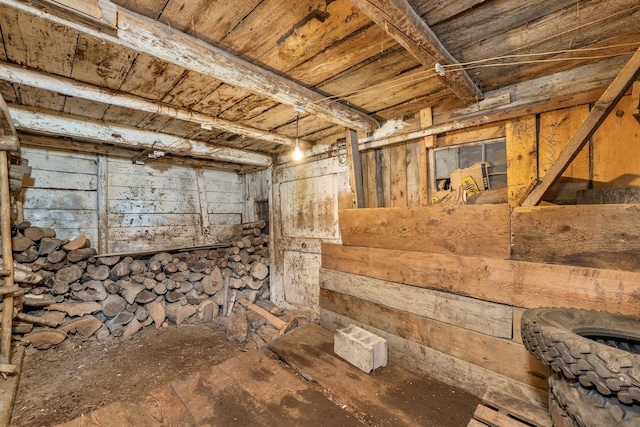 basement with wooden walls