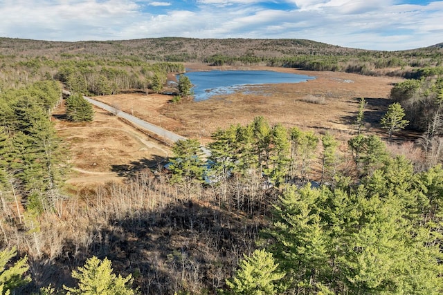 water view with a wooded view