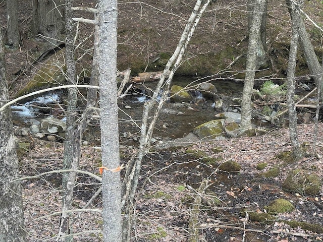 0 Braintree Hill Rd, Braintree, VT 05060