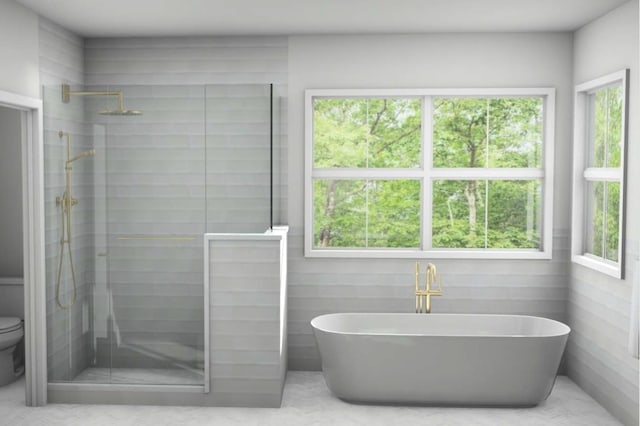 full bath with a healthy amount of sunlight, toilet, and a stall shower