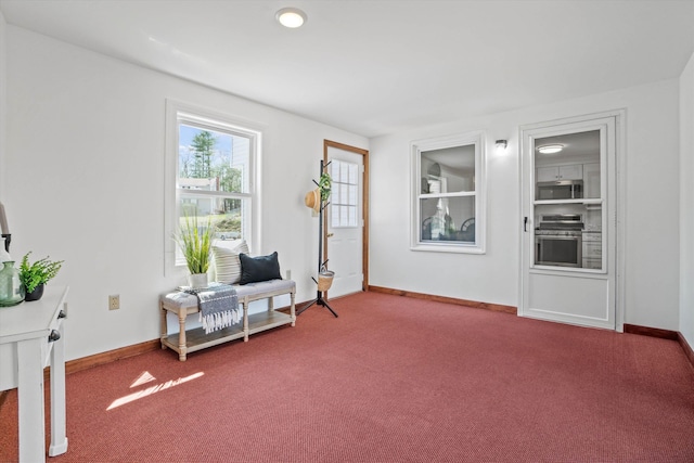 living area with carpet and baseboards