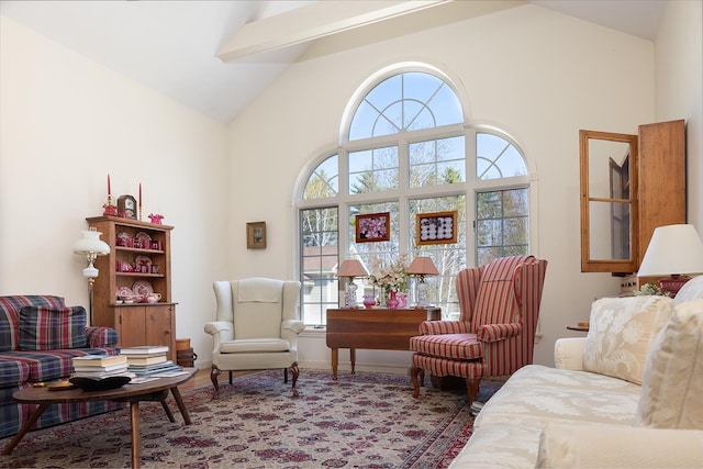 living area featuring high vaulted ceiling, wood finished floors, and plenty of natural light