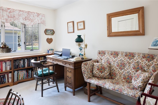office area featuring carpet floors