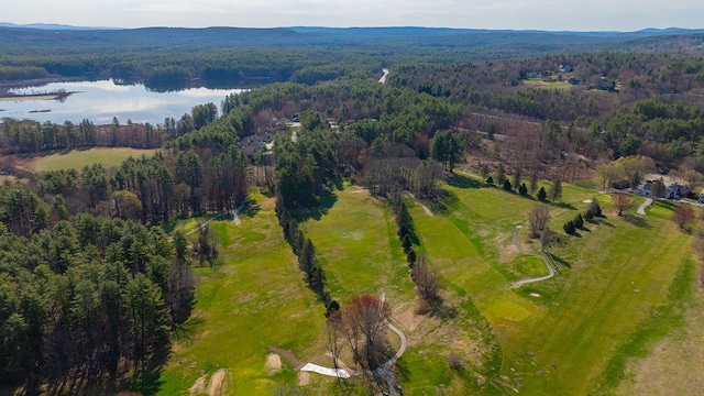 birds eye view of property featuring a wooded view and a water view