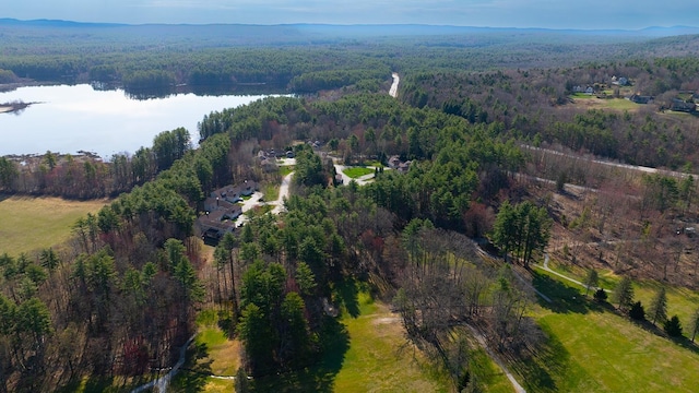 birds eye view of property with a water view and a forest view