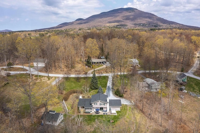 drone / aerial view featuring a wooded view and a mountain view