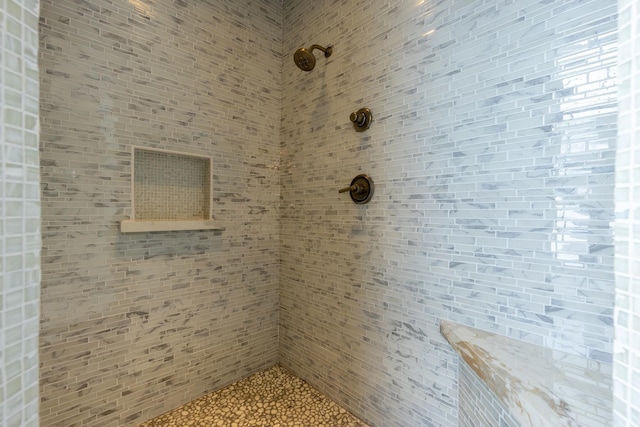full bathroom with a tile shower