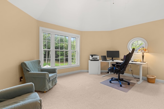 office with baseboards and carpet floors