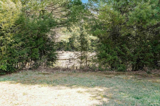view of landscape