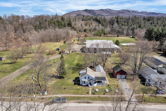 birds eye view of property featuring a mountain view