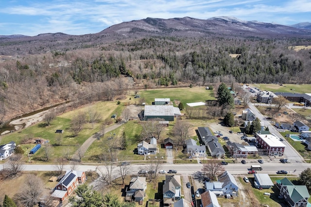 birds eye view of property featuring a mountain view and a view of trees