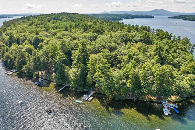 birds eye view of property featuring a water and mountain view and a wooded view