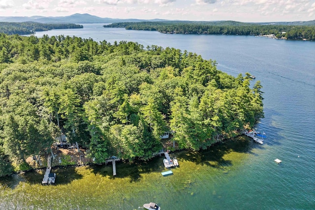 drone / aerial view with a water view and a view of trees