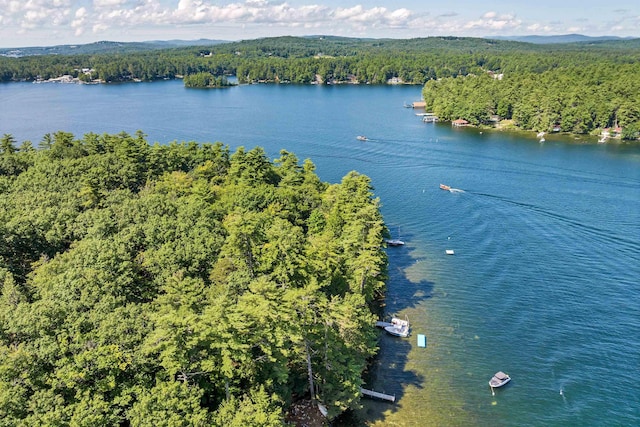 birds eye view of property featuring a wooded view and a water view