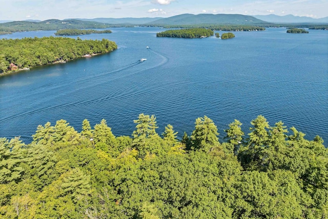 bird's eye view with a water and mountain view