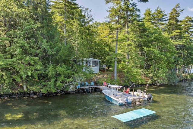 dock area with a water view