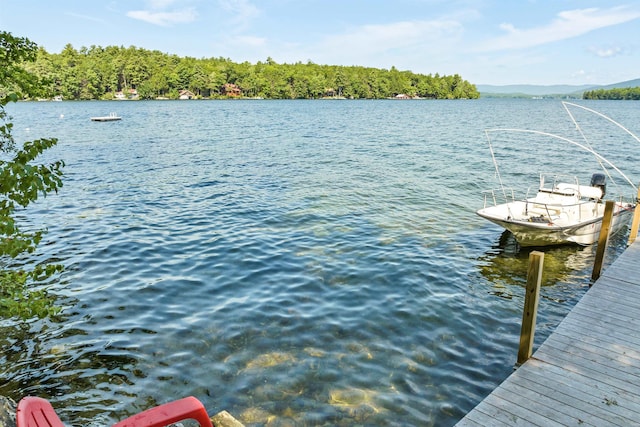 property view of water with a dock
