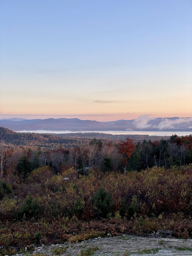 view of mountain feature
