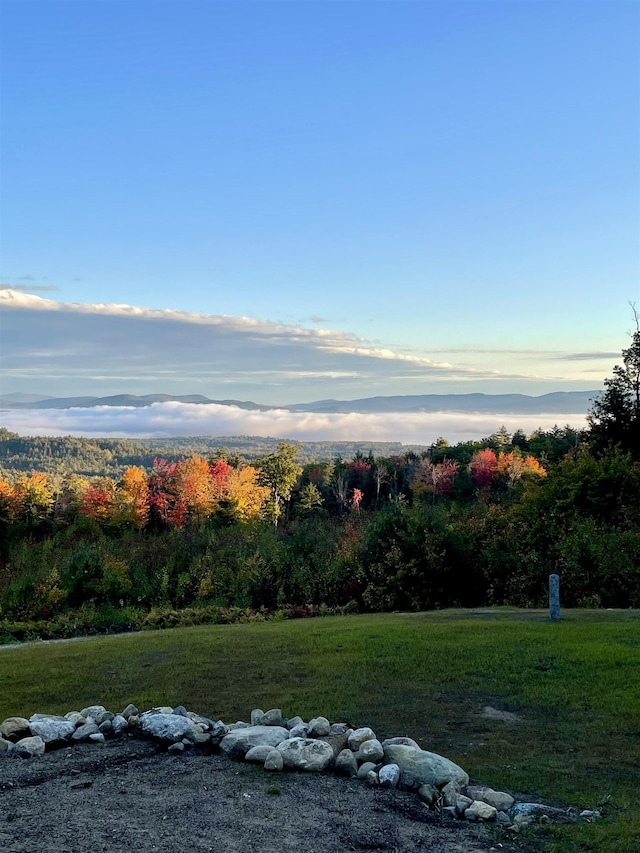 view of yard with a view of trees
