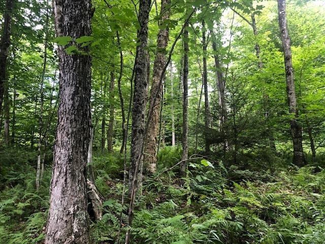 0 Jones Ln, Wolcott, VT 05680