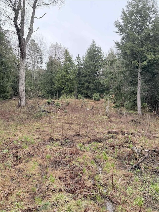 0 Jones Ln, Wolcott, VT 05680